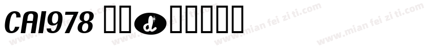 CA1978 常规字体转换